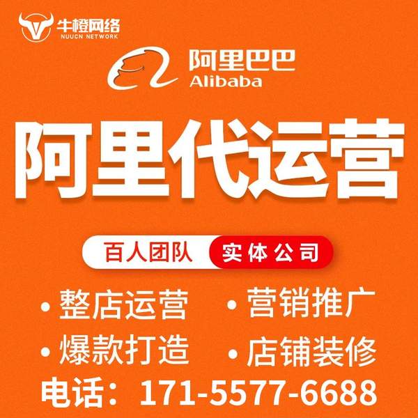 仁怀电商代运营