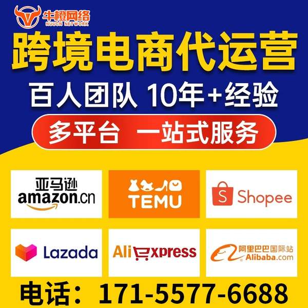 仁怀电商代运营