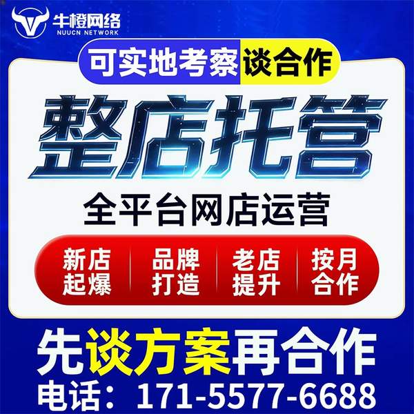 仁怀电商代运营