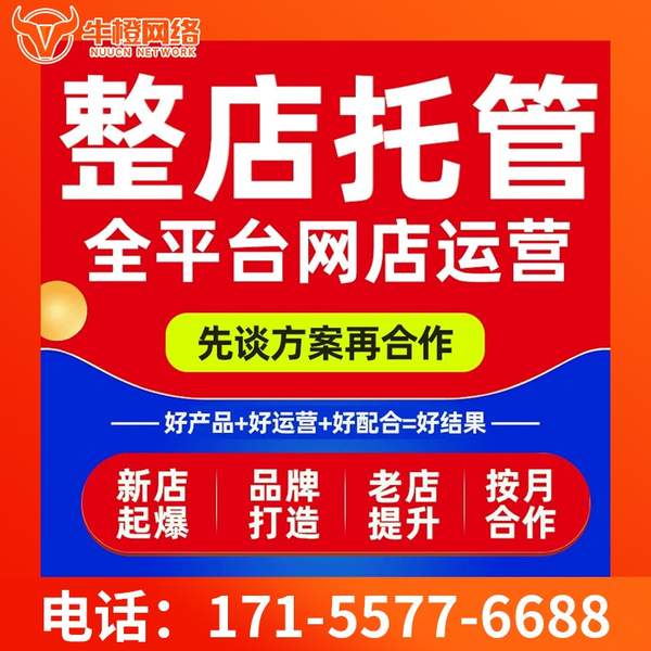 仁怀电商代运营