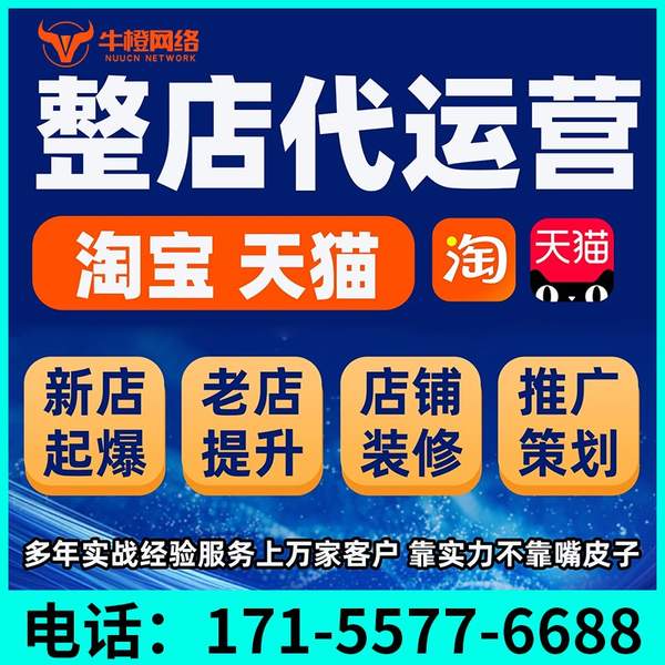 仁怀电商代运营