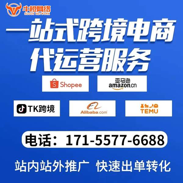 仁怀电商代运营