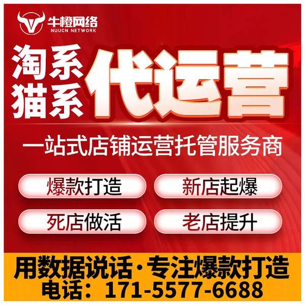 仁怀电商代运营